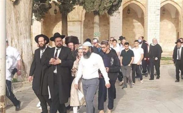 مستوطنون إسرائيليون يقتحمون المسجد الأقصى ويؤدون طقوسًا تلمودية