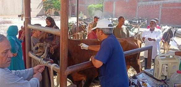 "الزراعة": اختتام أعمال القافلة البيطرية المجانية بقرى المنوفية