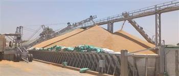   محافظ الشرقية: توريد أكثر من 610 آلاف طن من القمح لكافة مواقع التخزين بالمحافظة