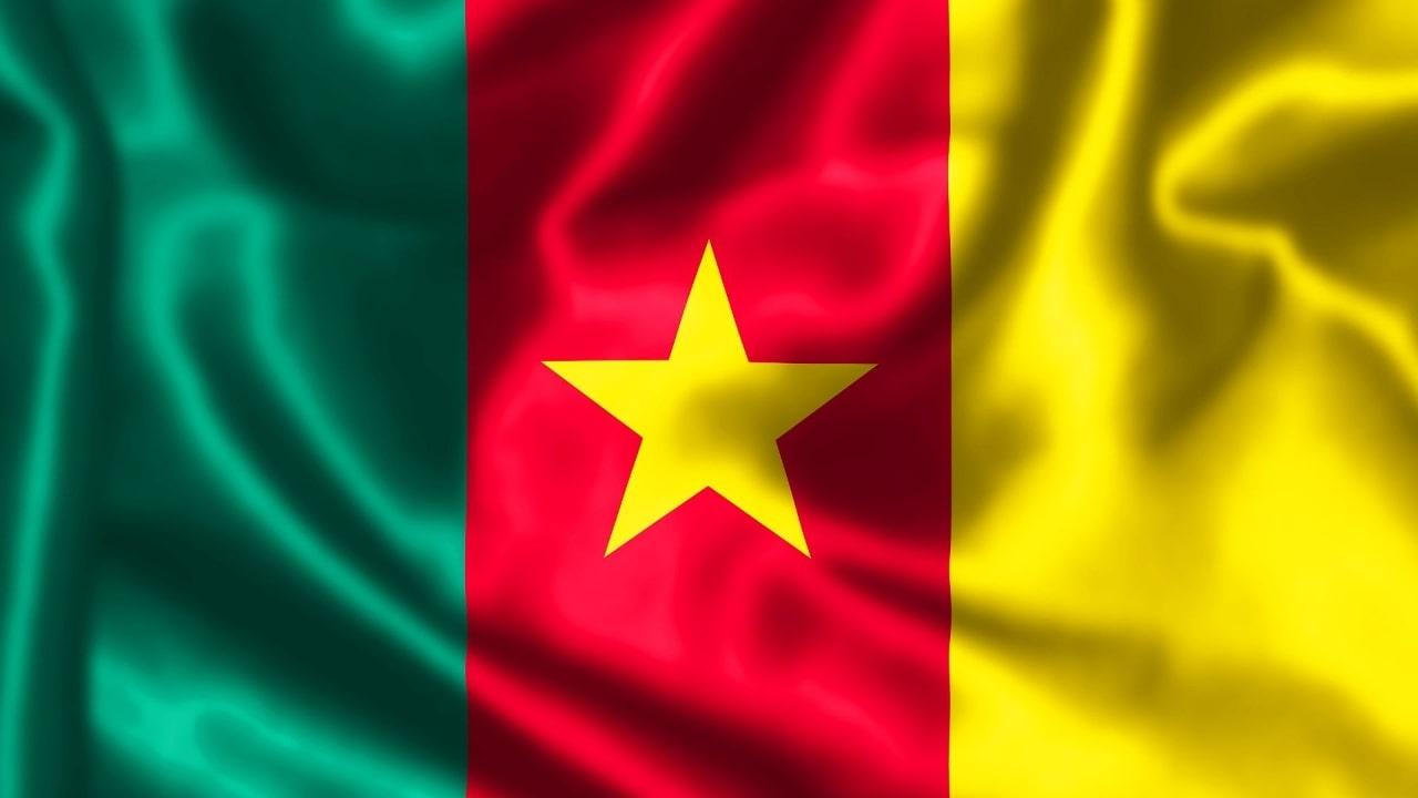 الكاميرون.. الجمعية الوطنية تتبنى مشروع قانون تمديد ولاية النواب لمدة عام