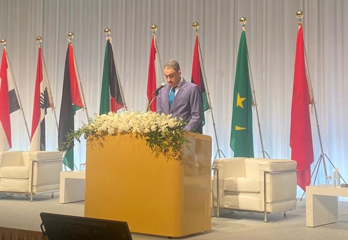 "المالكي": نثمن التعاون العربي الياباني لزيادة الاستثمارات بين الجانبين