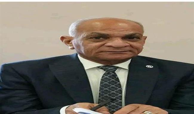 رئيس حزب الريادة: الدولة المصرية تولي اهتماما خاصا بملف الصناعة