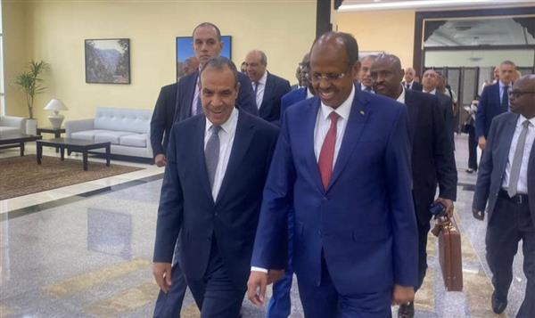 وزير الخارجية يعقد مباحثات مع نظيريه الجيبوتي والصومالي