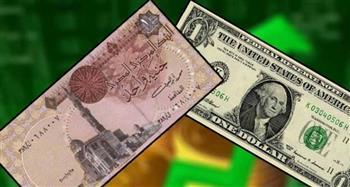 الدولار يهبط في البنوك المصرية خلال تعاملات اليوم