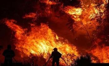 التشيك ترسل مساعدات إلى بلغاريا لدعمها في مجابهة حرائق الغابات