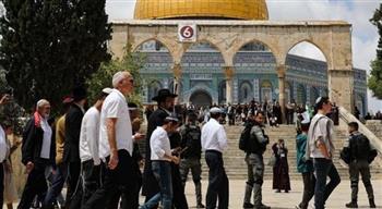   مستعمرون يقتحمون المسجد الأقصى بحماية من شرطة الاحتلال الإسرائيلية