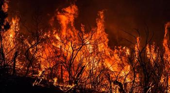 التشيك ترسل خبراء ومعدات إلى بلغاريا لدعم جهود مكافحة حرائق الغابات