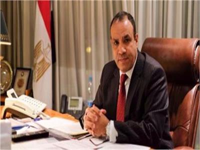 وزير الخارجية: مصر لم تدخر جهدا للعمل على ضمان تدفق المساعدات الإنسانية لغزة