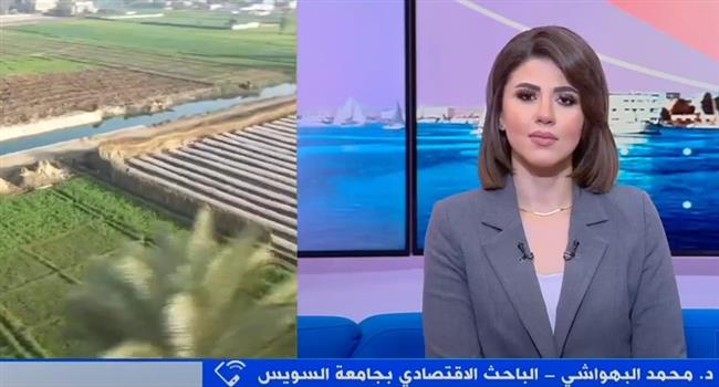 باحث اقتصادى: برامج التنمية التى تنفذها الحكومة ليست مزاحمة