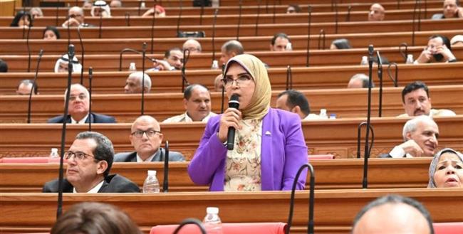 النائبة مرفت عبدالعظيم: برنامج الحكومة الجديدة طموح ويحقق الخطط المستهدفة