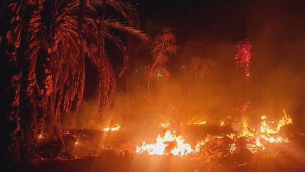 دون خسائر.. السيطرة على حريق مخلفات أشجار داخل مدرسة في إيتاي البارود