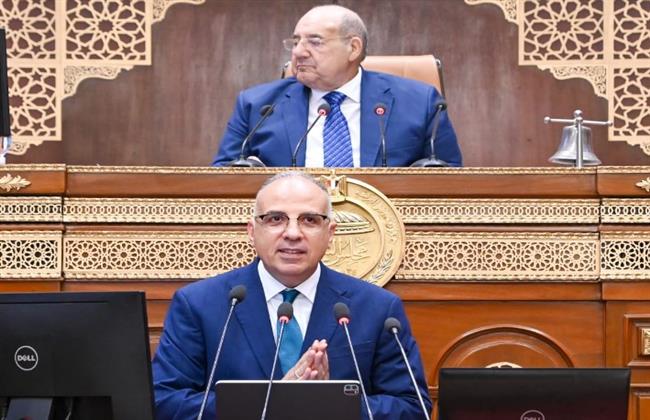 وزير الري يناقش تحديات مصر المائية وسبل مواجهتها بـ مجلس الشيوخ