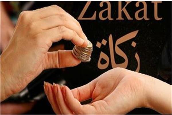 هل يجوز دفع الزكاة إلى الأخ المدين؟