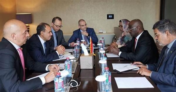 وزير الخارجية يعرب عن تقدير مصر للرئاسة الموريتانية الحالية للاتحاد الإفريقي