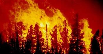   كندا تبدأ رفع أوامر الإجلاء بعد السيطرة على حريق للغابات في شرق البلاد