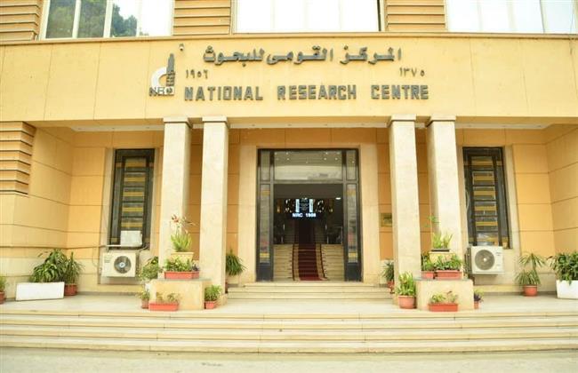 "أغاني المهرجانات والراب في المجتمع المصري".. تجربة علمية في "مركز البحوث"