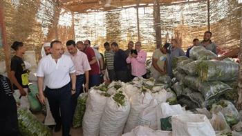 محافظ أسيوط يقود حملة لإزالة الإشغالات وإعادة الانضباط لشوارع ديروط 