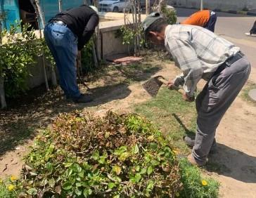 محافظ الإسكندرية يوجه برفع كفاءة الحدائق العامة وزيادة المسطحات الخضراء