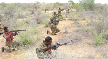   الصومال: مقتل أكثر من 80 من المليشيات الإرهابية بمحافظة جوبا السفلى