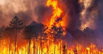 اندلاع نحو 30 حريقًا بالغابات في جنوب مقدونيا الشمالية