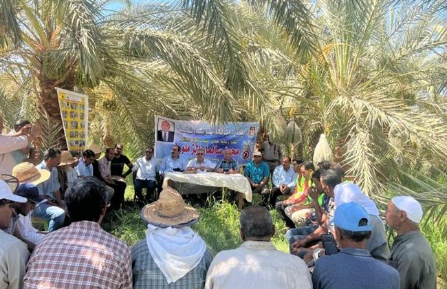حبس الممتنعين عن مكافحة سوسة النخيل بالوادى الجديد