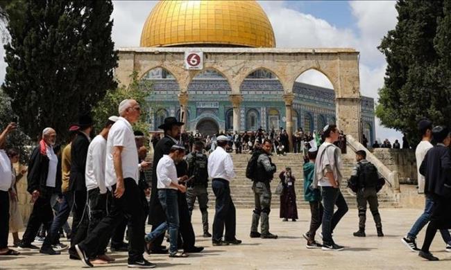 مستوطنون يقتحمون الأقصى والاحتلال يعتقل 25 فلسطينيًا