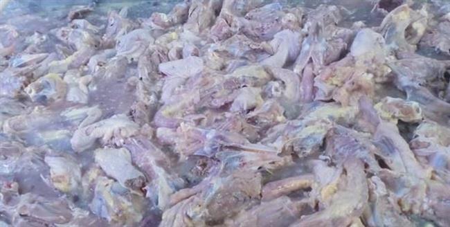 ضبط 1.5 طن هياكل دواجن مجهولة المصدر بالقليوبية