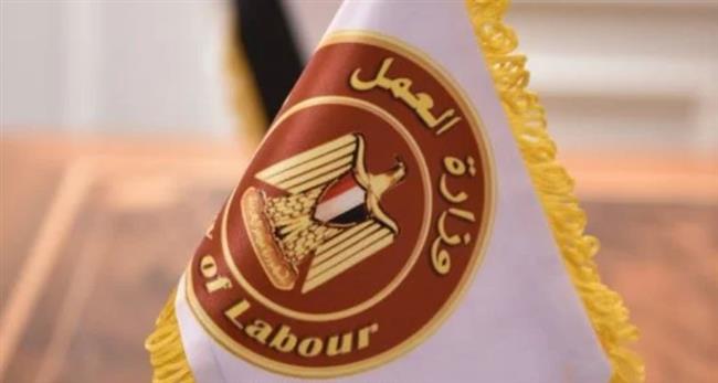 وزارة العمل : 300 فرصة عمل لفتيات القاهرة في مجال "أخصائية تمويل"