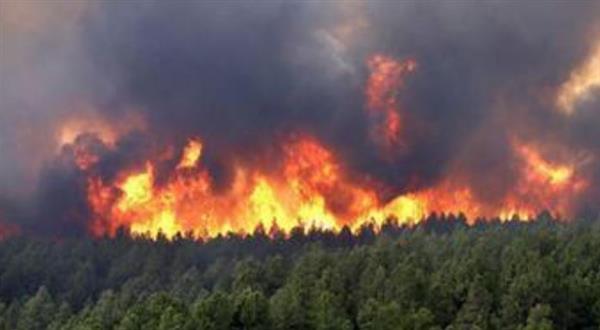 المغرب: إخماد حريق مهول بأحد الغابات بمدينة تطوان