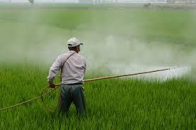   دراسة جديدة: تكشف مخاطر استخدام المبيدات الحشرية 