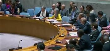 مندوب الجزائر بمجلس الأمن: ما يحدث في غزة كارثة تهدد الإنسانية