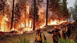 بسبب حرائق الغابات.. إجلاء آلاف السكان من منازلهم في ولاية كاليفورنيا