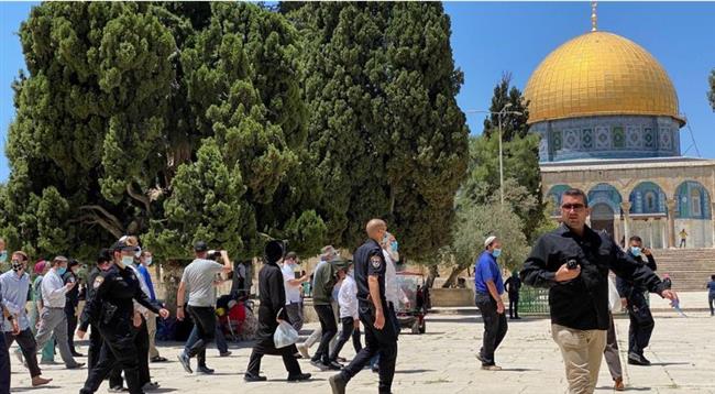 مستوطنون يقتحمون الأقصى.. والاحتلال يعتقل 13 فلسطينيا من الضفة الغربية
