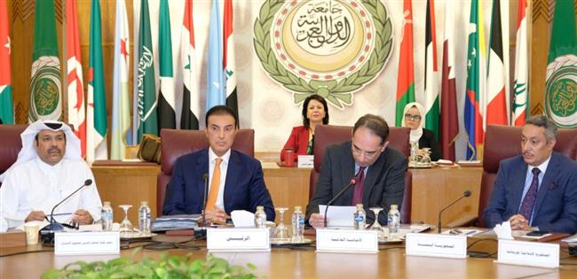المري: مشاركة الدول العربية في الميثاق العربي لحقوق الإنسان ضروري