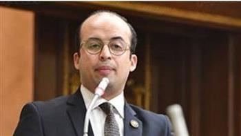 بدوي: الدولة حريصة على إحداث تغيير حقيقي بقضايا حقوق الإنسان في مصر