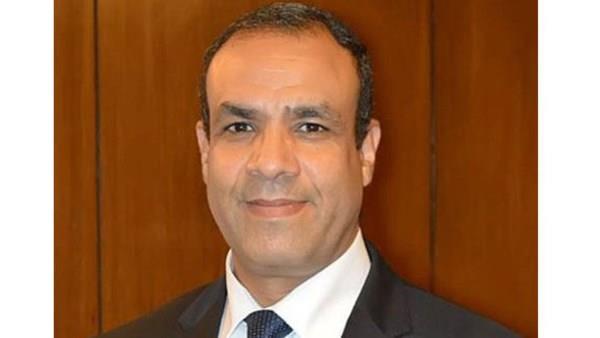 السيرة الذاتية لـ بدر عبدالعاطي وزير الخارجية والهجرة