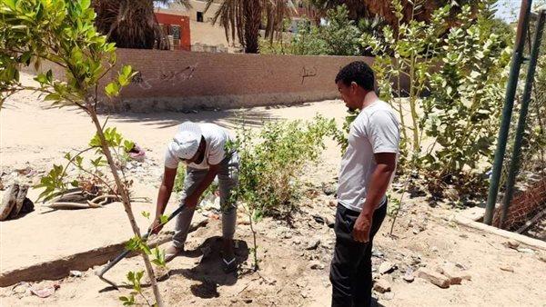 استكمال منظومة التطوير والتجميل وزيادة المسطحات الخضراء في أسوان 