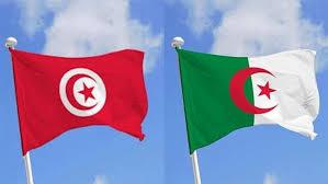   تونس والجزائر تبحثان التعاون فى مجال الهجرة غير الشرعية وتنمية المناطق الحدودية