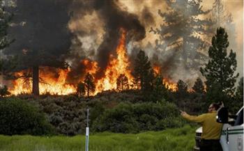   حرائق الغابات تجبر 13 ألف شخص على الإخلاء في شمال كاليفورنيا