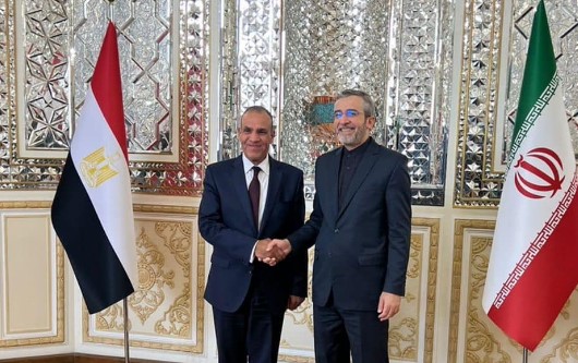 وزير الخارجية والهجرة يشارك في مراسم تنصيب الرئيس الإيراني الجديد