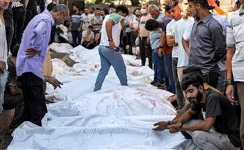 خاص| المتحدث باسم الدفاع المدني الفلسطيني: جثامين الشهداء في قطاع غزة تأكلها الكلاب والقطط 