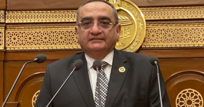 نائب حماة الوطن: زيارة رئيس الإمارات لمصر تأتي في إطار العلاقات القوية بين البلدين