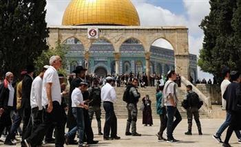 مُستوطنون إسرائيليون يقتحمون "الأقصى" بحماية شرطة الاحتلال