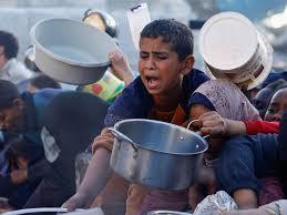   مراسل القاهرة الإخبارية: المجاعة وسوء التغذية تنتشر بشكل كبير بين المدنيين بشمال غزة
