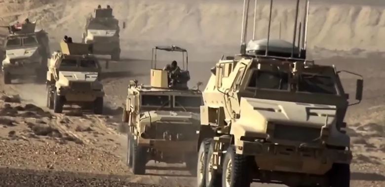 جهود كبيرة قامت بها الدولة للقضاء على الإرهاب في سيناء