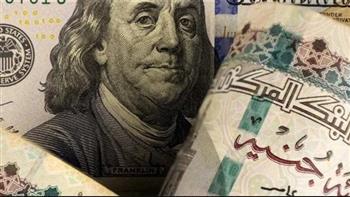   استقرار سعر الدولار اليوم