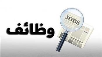   الشروط وموعد التقديم.. فرص عمل جديدة في ميناء الإسكندرية