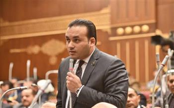   نائب: الحوار الوطني حريص على تحقيق التنمية المستدامة والبناء وتعزيز قدرات الدولة
