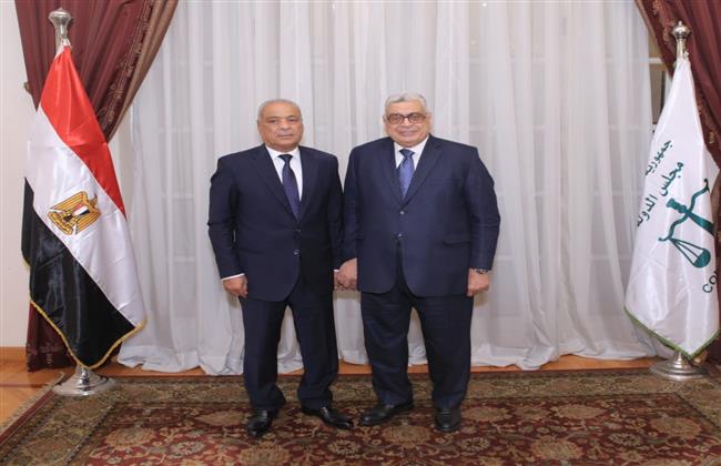 رئيس مجلس الدولة يلتقي مع رئيس هيئة النيابة الإدارية