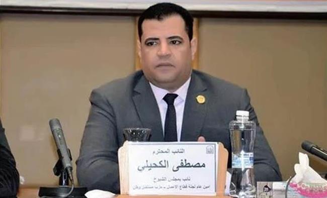 عضو بالشيوخ: العفو الرئاسي عن مئات السجناء أدخل البهجة على قلوب ذويهم